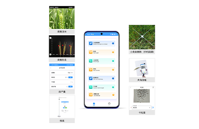 濮阳市小麦表型检测仪IN-XM04